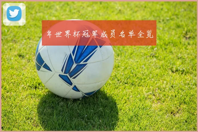 年世界杯冠军成员名单全览
