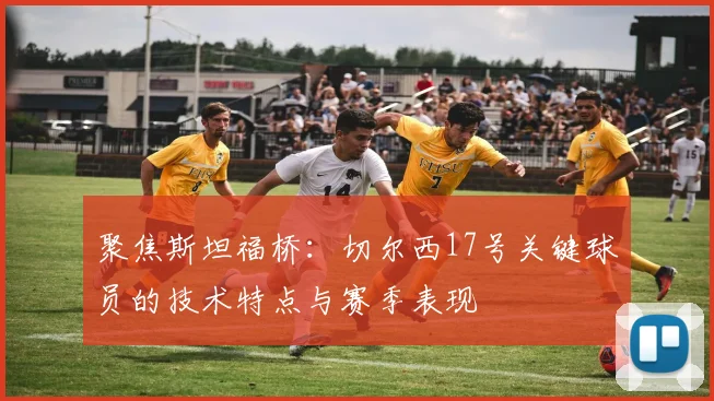 聚焦斯坦福桥：切尔西17号关键球员的技术特点与赛季表现